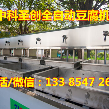 广东梅州豆腐生产线利润大吗自动豆腐机多少钱
